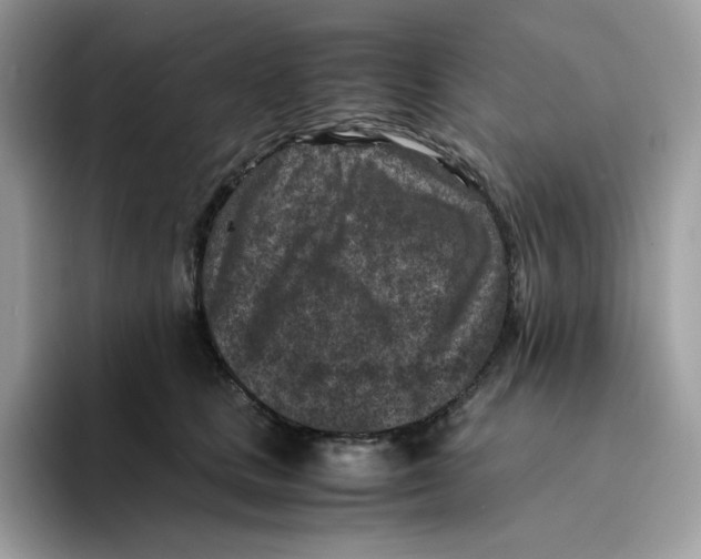 X0000094340661200711301250