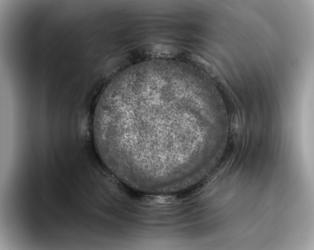 X0000094340663200711301250