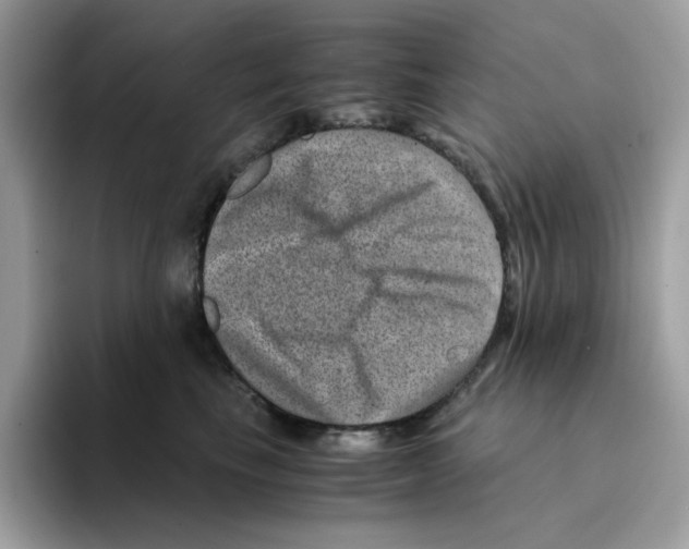 X0000094340665200711301250