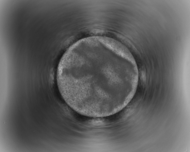 X0000094340668200711301250