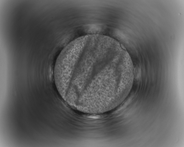 X0000094340669200711301250