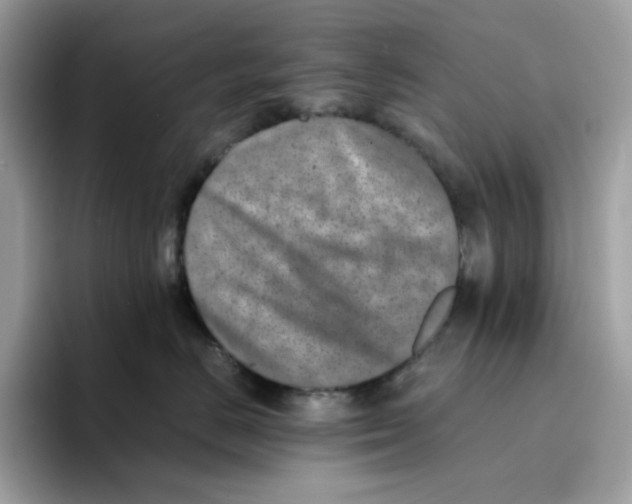 X0000094340670200711301250