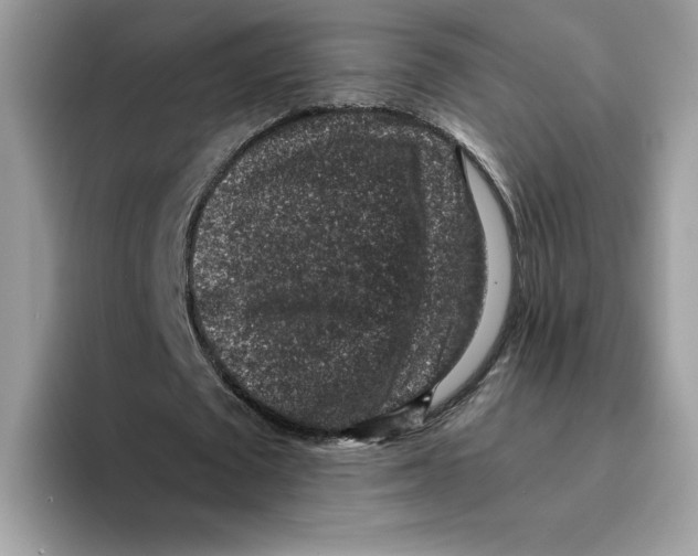 X0000094340673200711301249