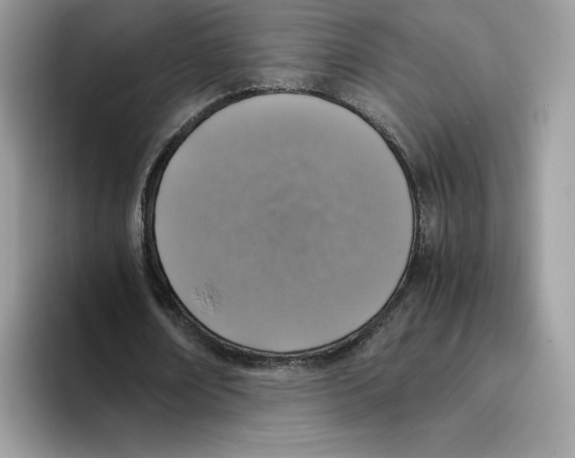 X0000094340674200711301249