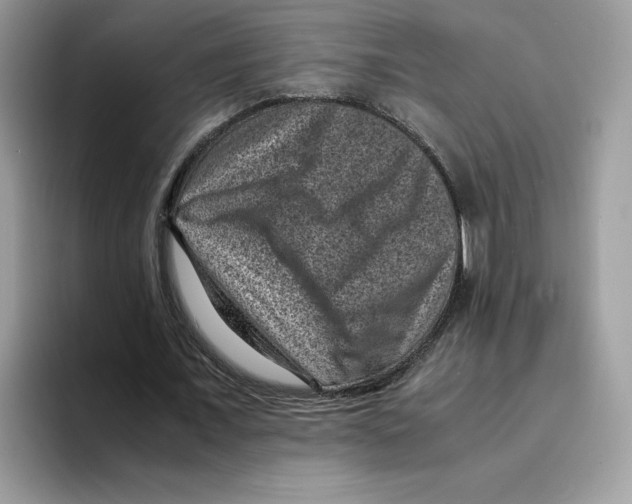 X0000094340675200711301249