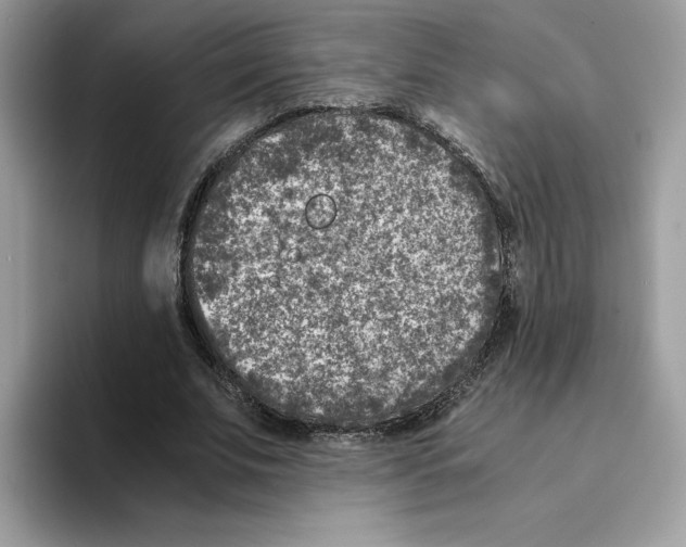 X0000094340679200711301249