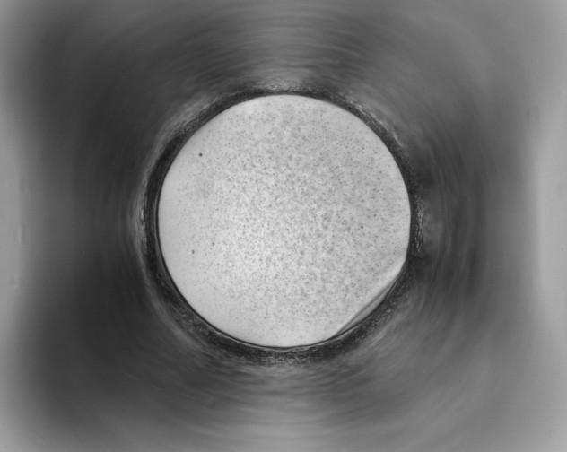 X0000094340682200711301249