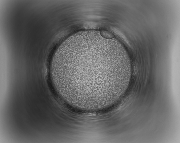 X0000094340687200711301249