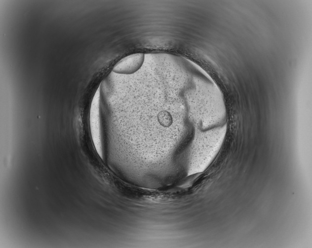 X0000094340688200711301249