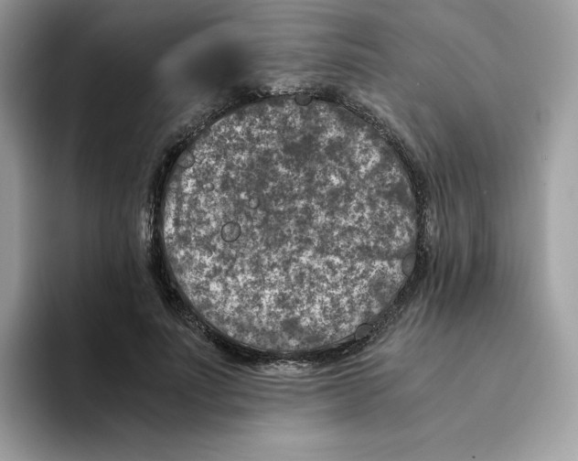 X0000094340691200711301249