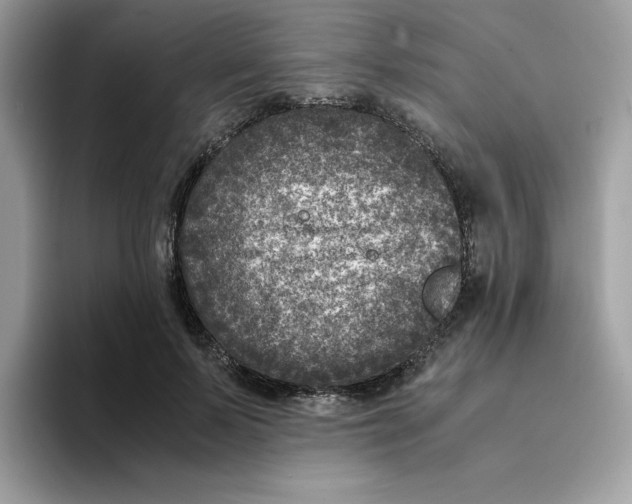 X0000094340695200711301249