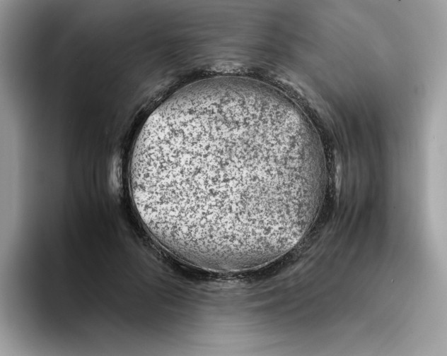 X0000094340696200711301249