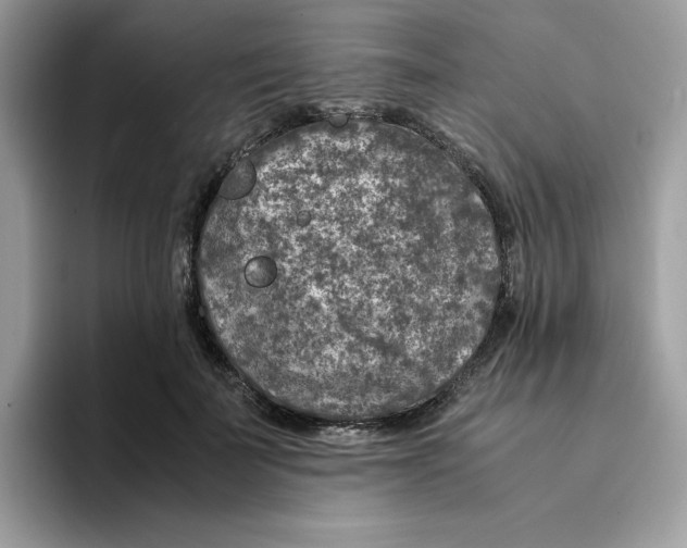 X0000094340699200711301249