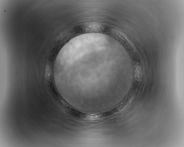 X0000094340701200711301249