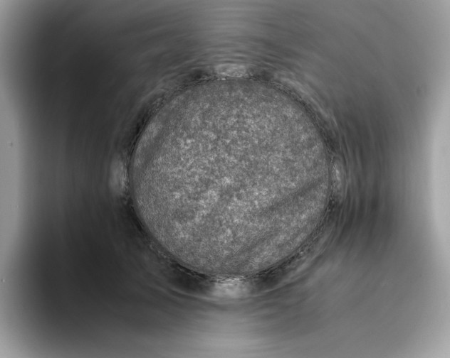 X0000094340705200711301249