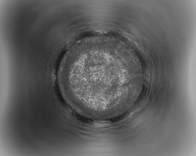 X0000094340707200711301249