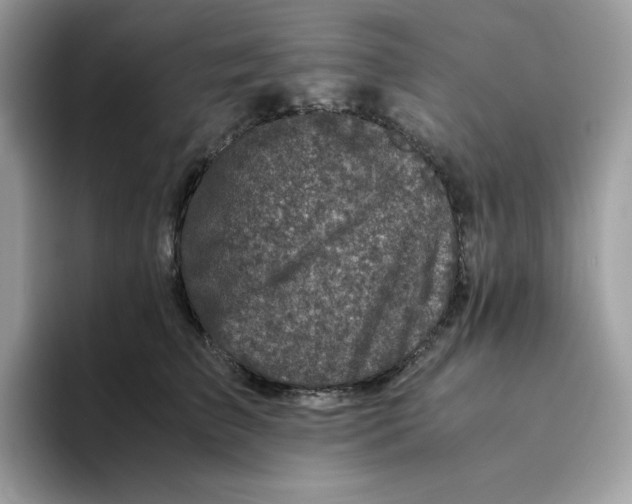 X0000094340709200711301249