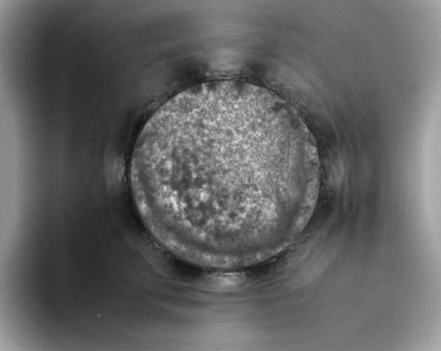 X0000094340711200711301249