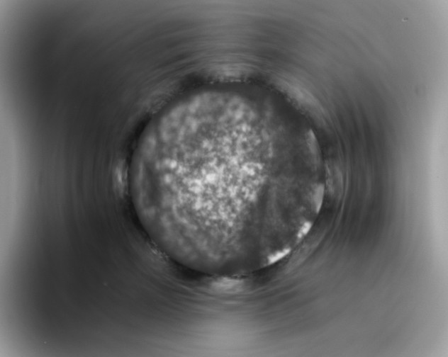 X0000094340718200711301248