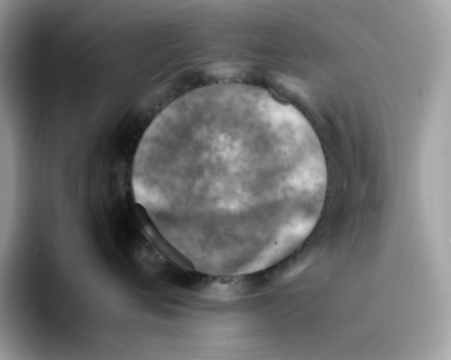 X0000094340720200711301248