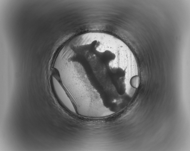 X0000094340721200711301248