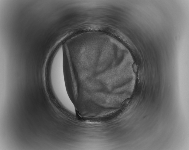 X0000094340722200711301248