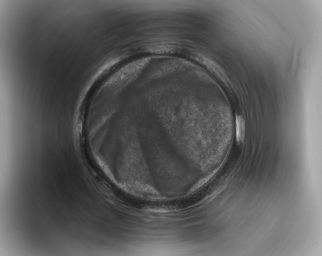 X0000094340723200711301248