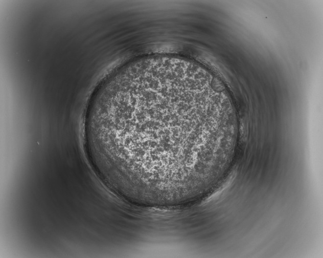 X0000094340725200711301248