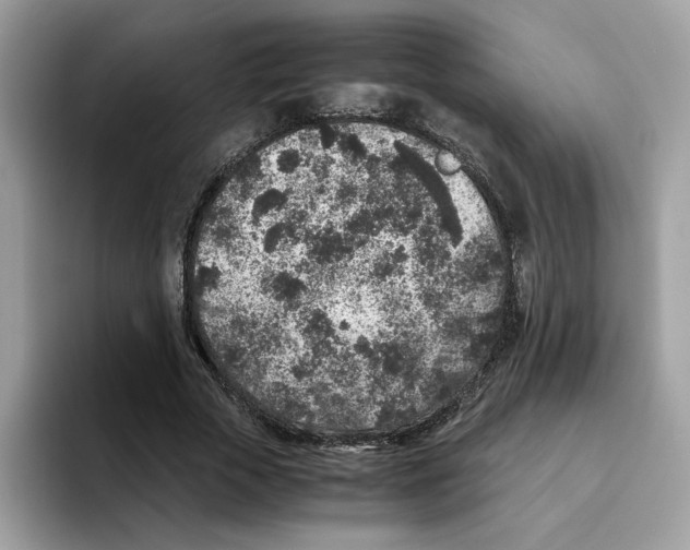 X0000094340729200711301248