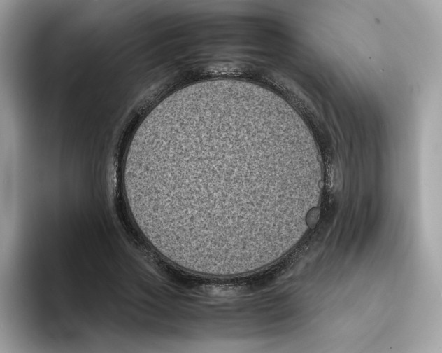 X0000094340733200711301248