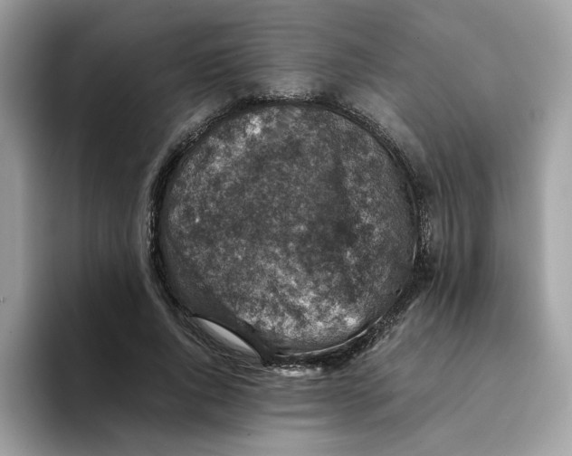 X0000094340736200711301248