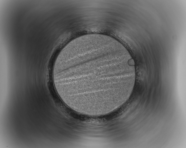 X0000094340738200711301248