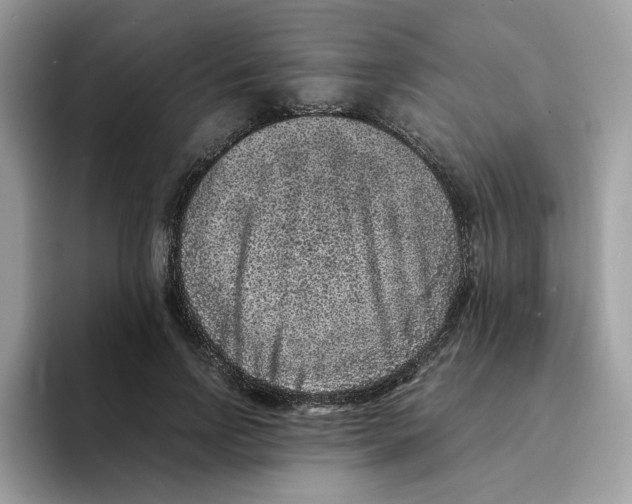 X0000094340742200711301248