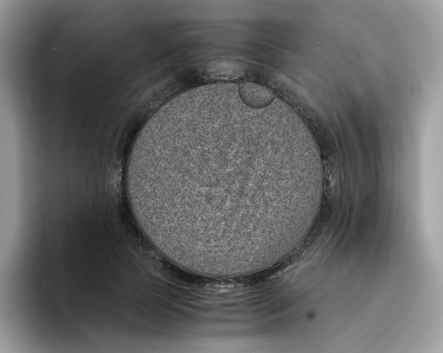 X0000094340745200711301248