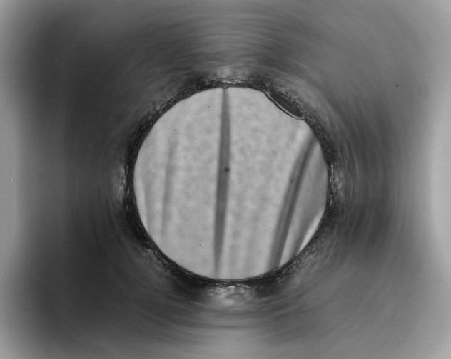 X0000094340752200711301248