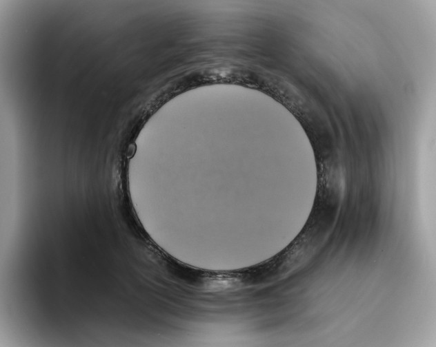 X0000094340754200711301248