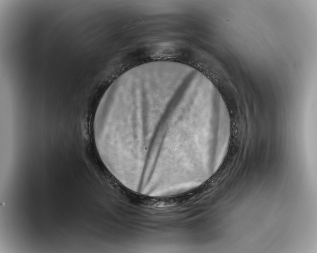 X0000094340755200711301248