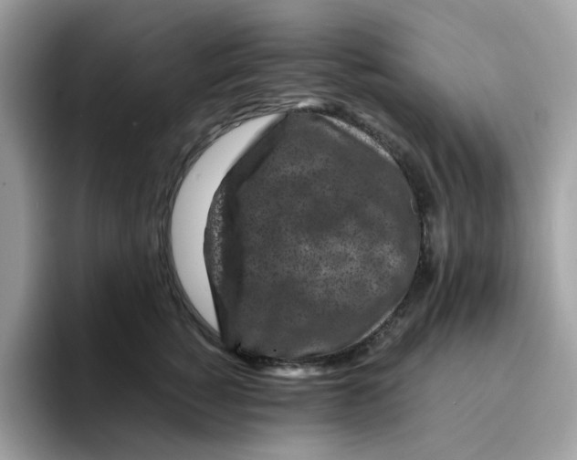 X0000094340760200711301248