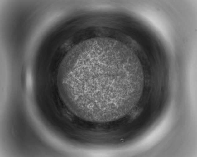 X0000094340765200711301248