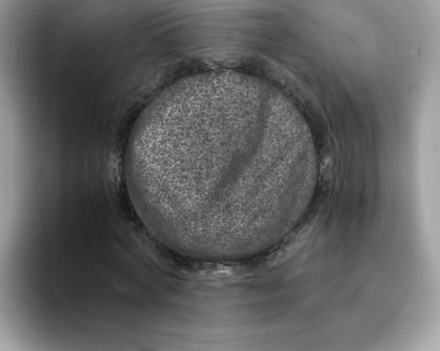 X0000094340772200711301248