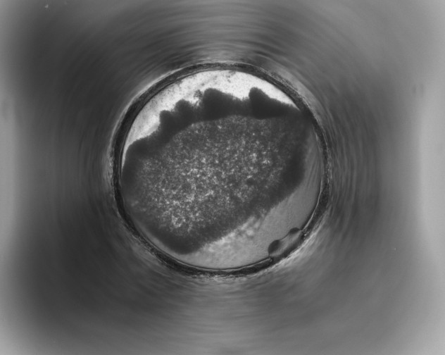 X0000094340779200711301248