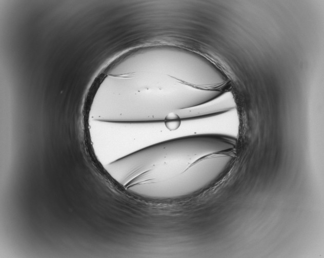 X0000094340784200711301248