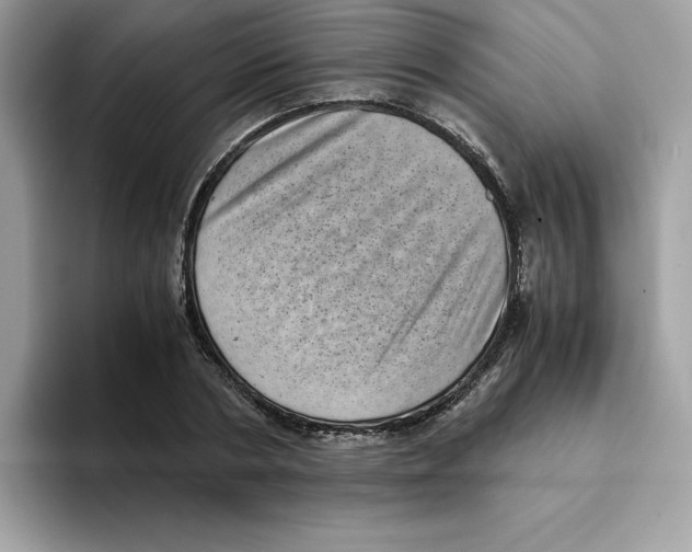 X0000094340786200711301248