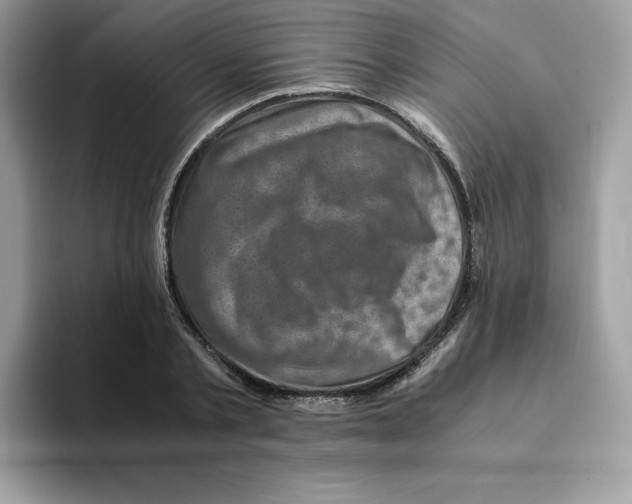 X0000094340789200711301248