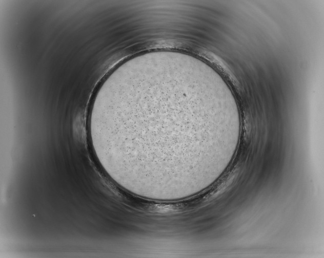 X0000094340794200711301247