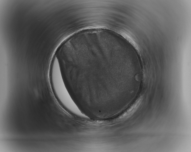 X0000094340797200711301247