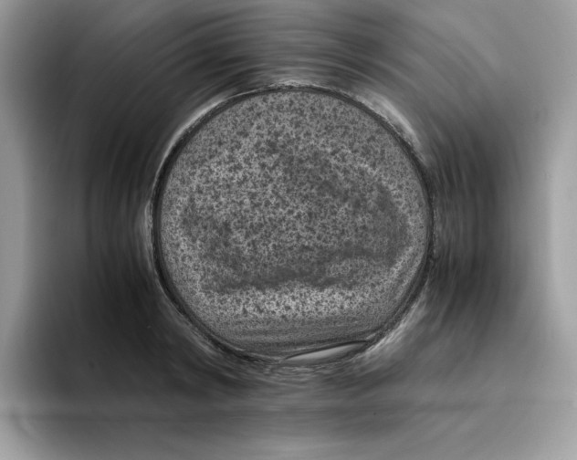 X0000094340798200711301247