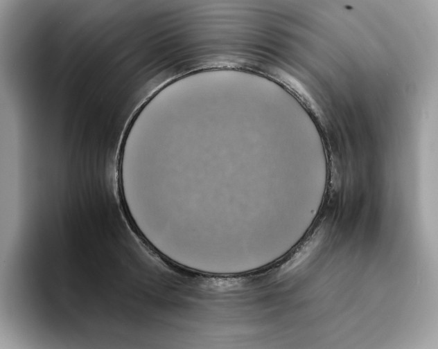 X0000094340802200711301247