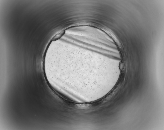 X0000094340805200711301247