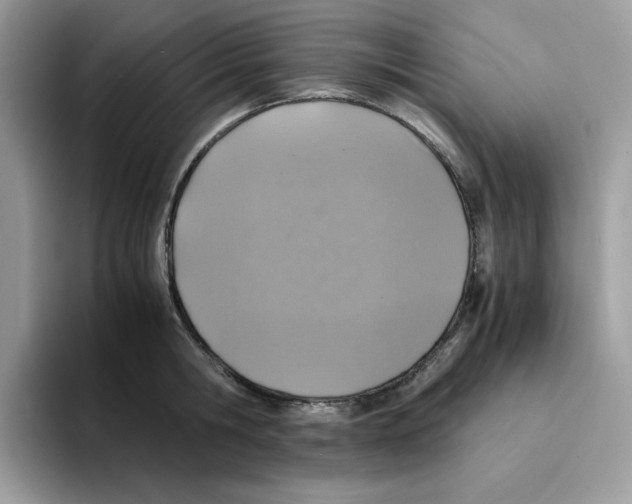 X0000094340806200711301247